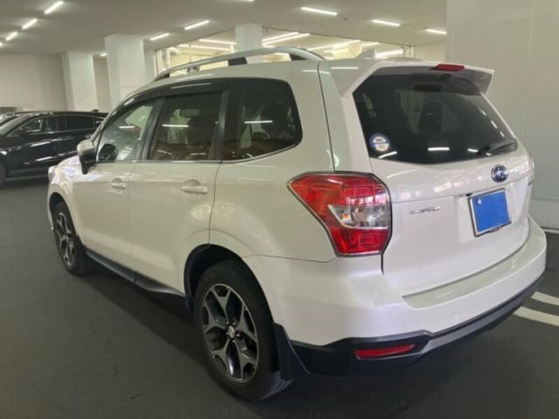 FORESTER