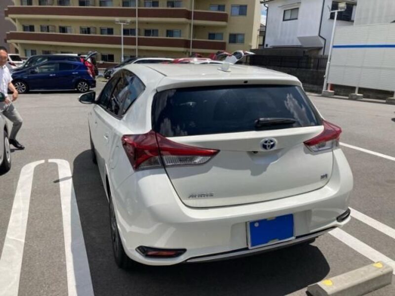 AURIS HYBRID