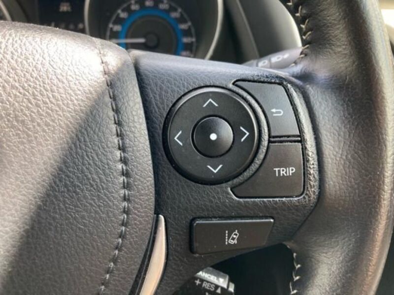 AURIS HYBRID