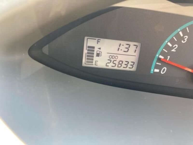 BELTA