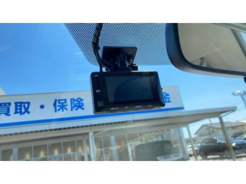 BELTA