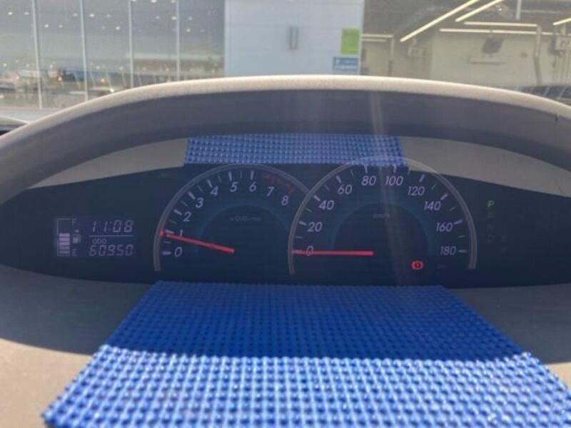 BELTA