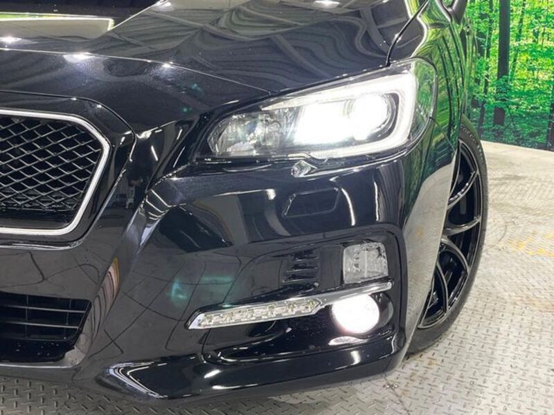 LEVORG