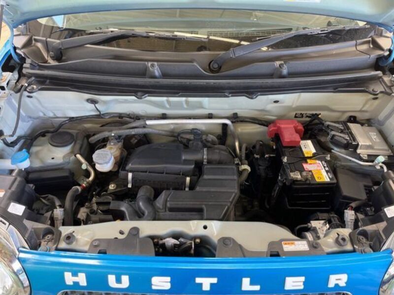 HUSTLER