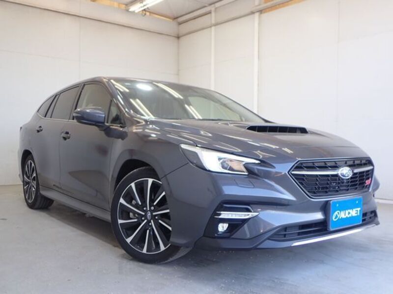 LEVORG-0