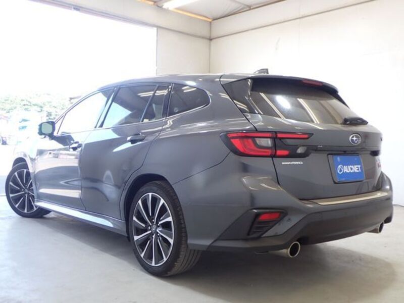 LEVORG