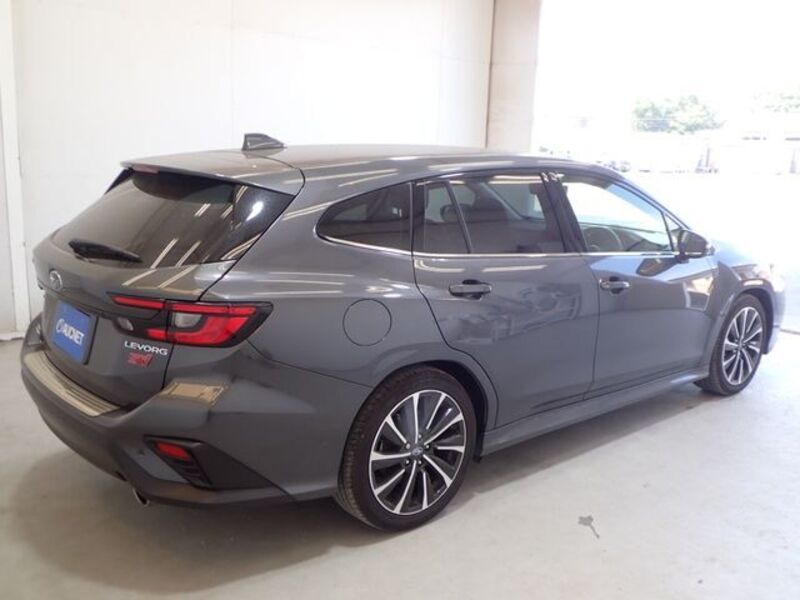 LEVORG