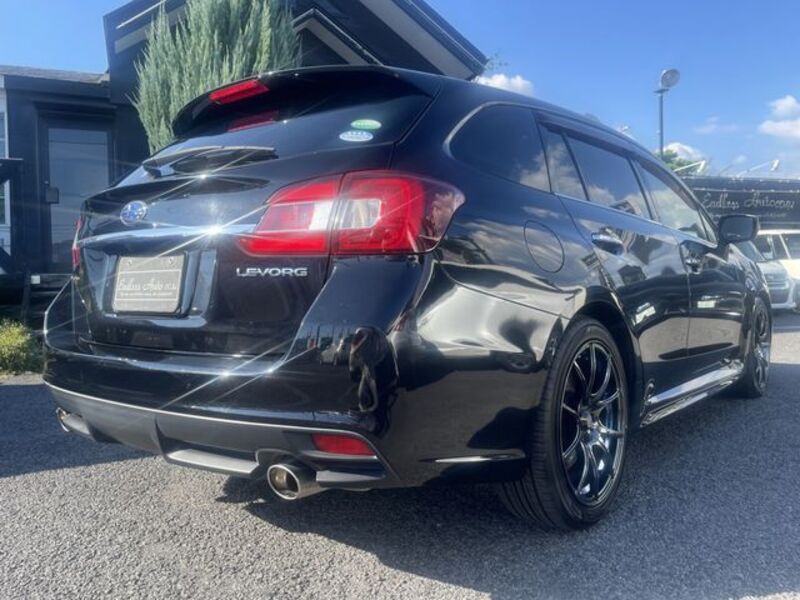 LEVORG