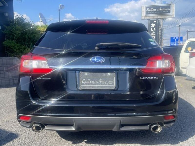 LEVORG