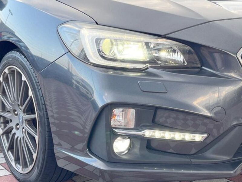 LEVORG