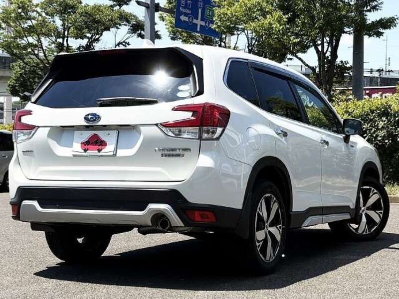 FORESTER