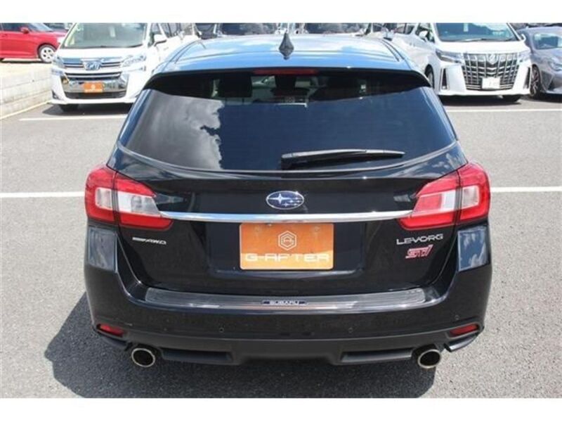 LEVORG