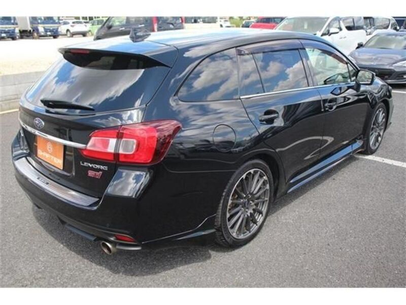 LEVORG