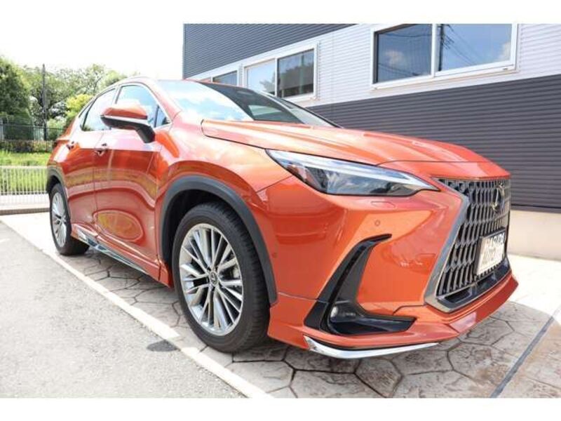 NX