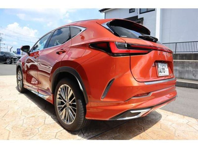 NX