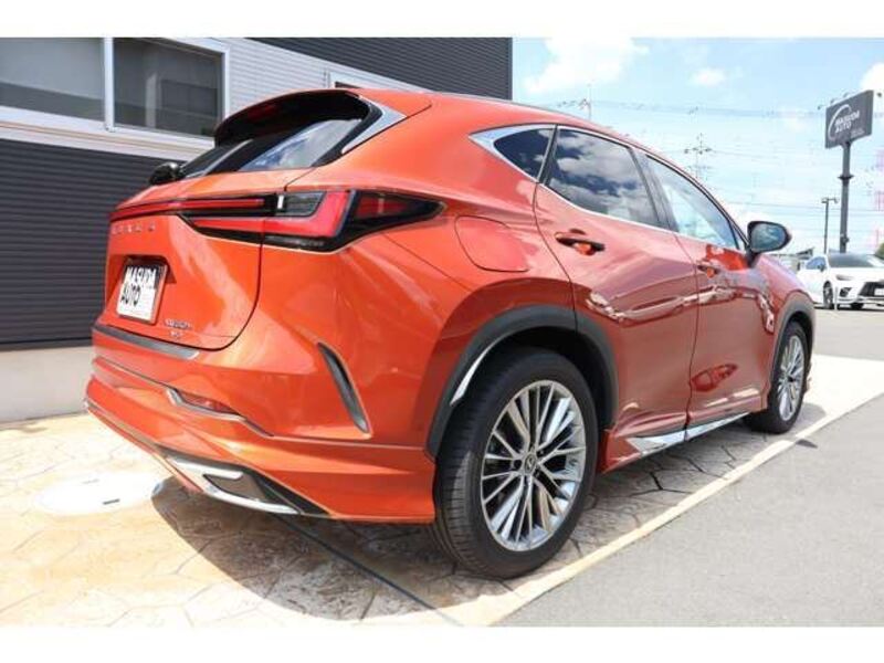 NX