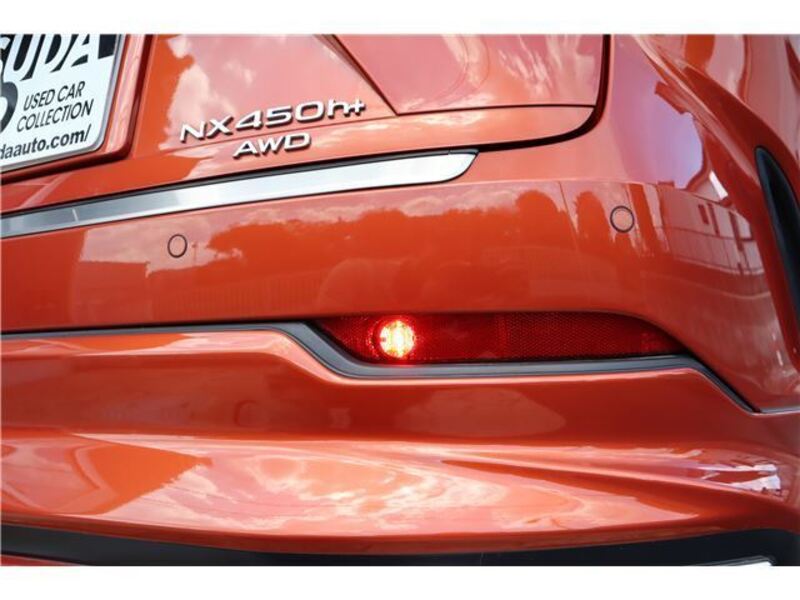 NX