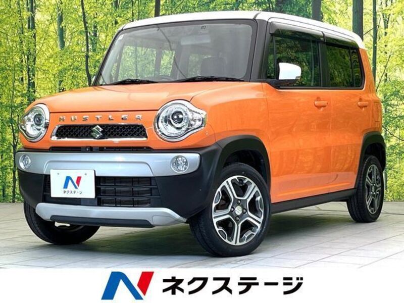SUZUKI HUSTLER
