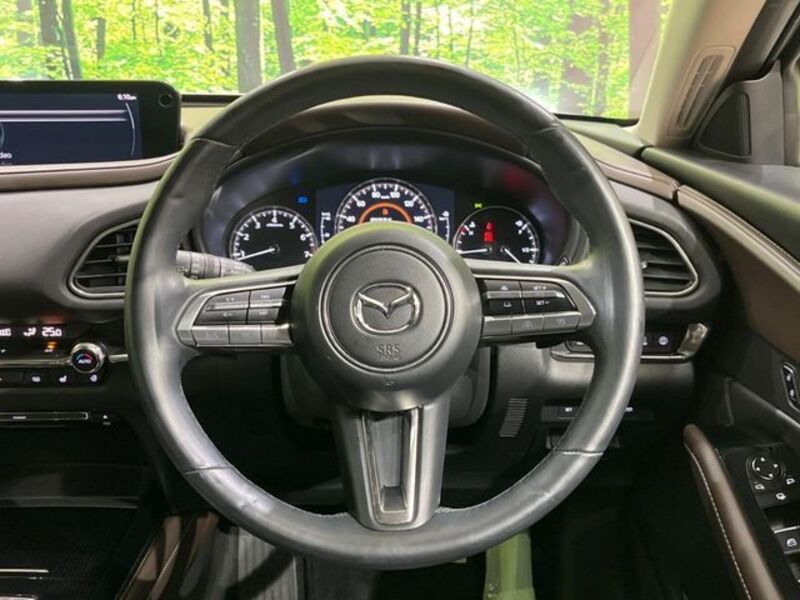 CX-30