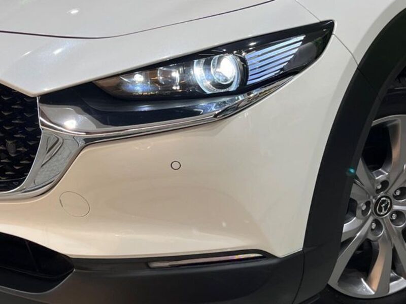 CX-30