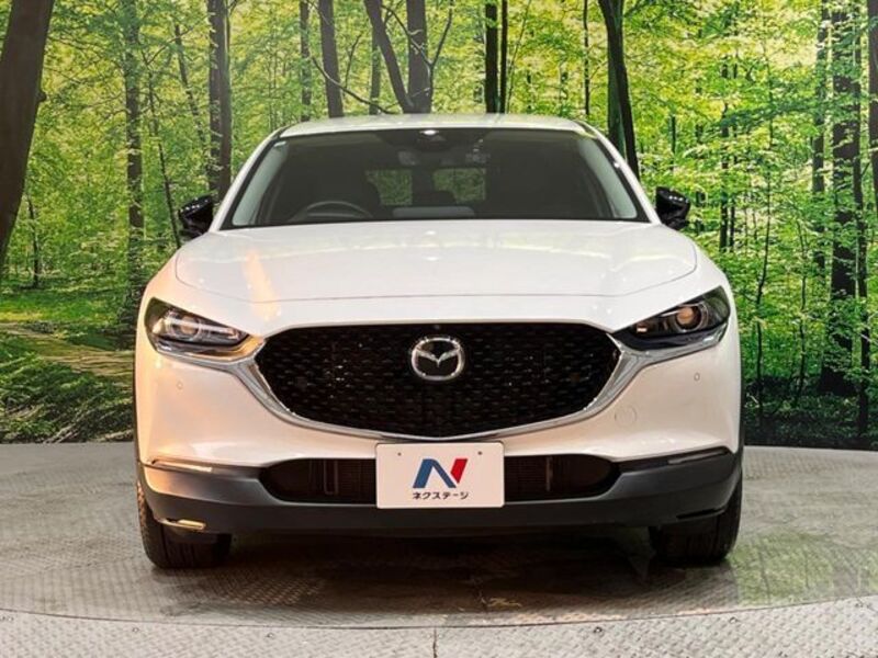 CX-30