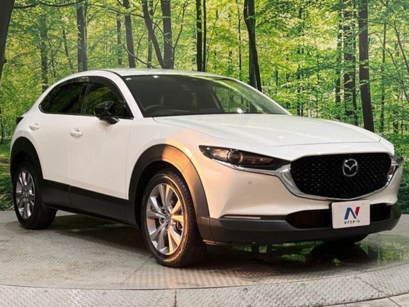 CX-30