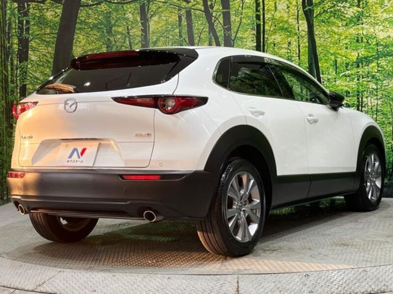 CX-30
