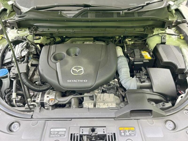 CX-8
