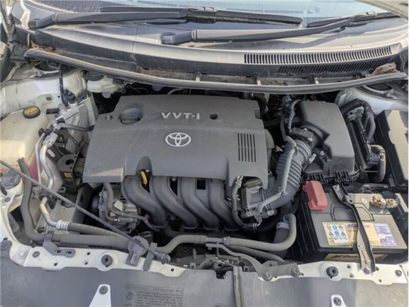 AURIS
