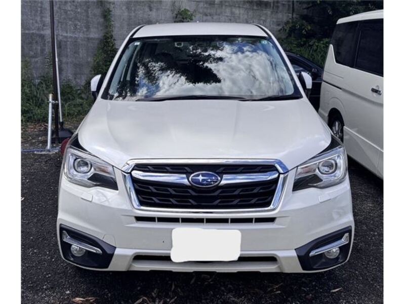 FORESTER-0