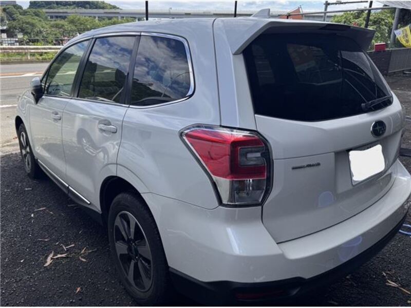FORESTER
