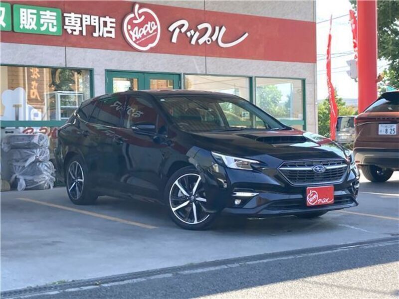 LEVORG-0