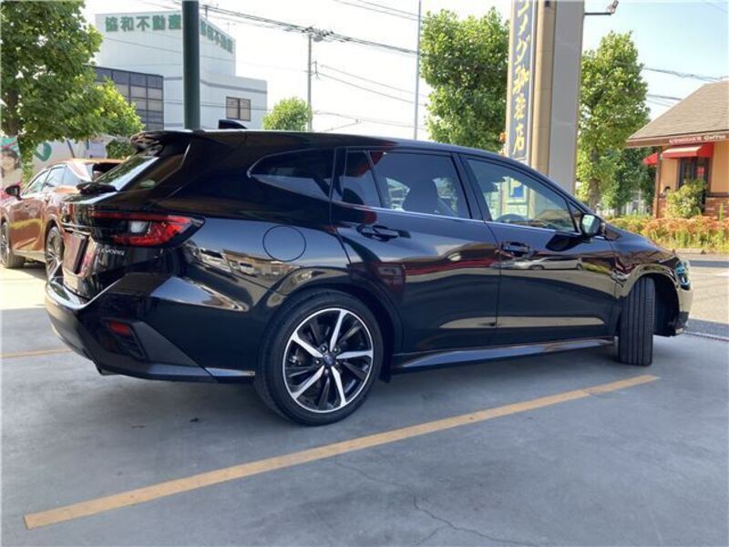 LEVORG