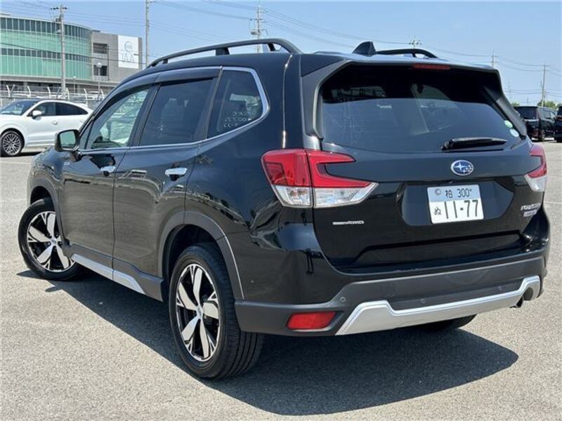 FORESTER