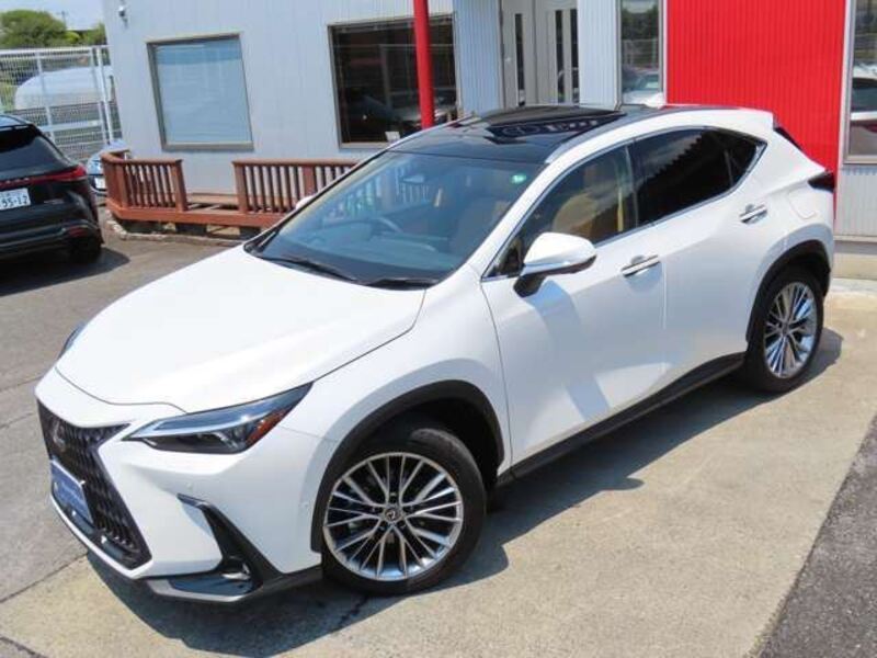 NX