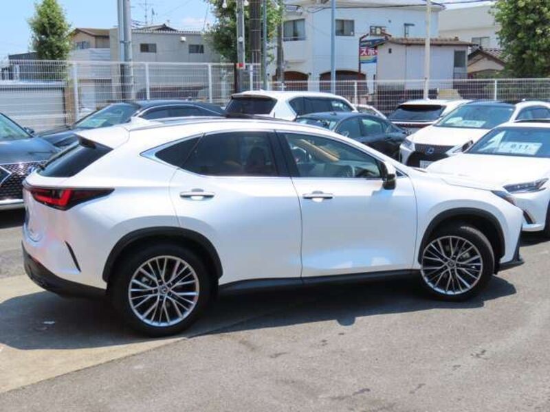 NX