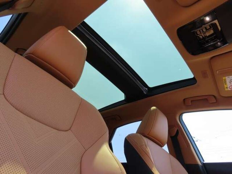 NX