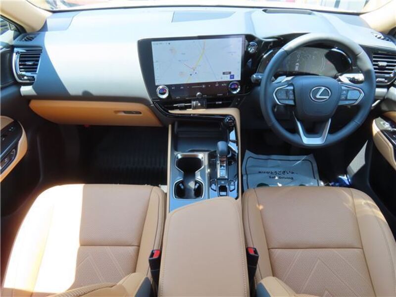 NX