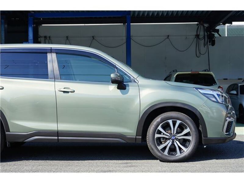 FORESTER