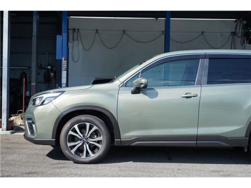 FORESTER