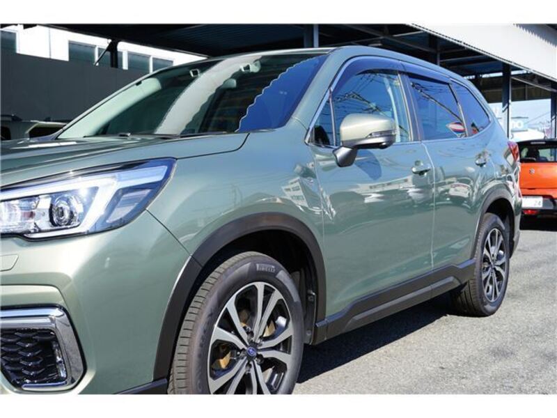 FORESTER