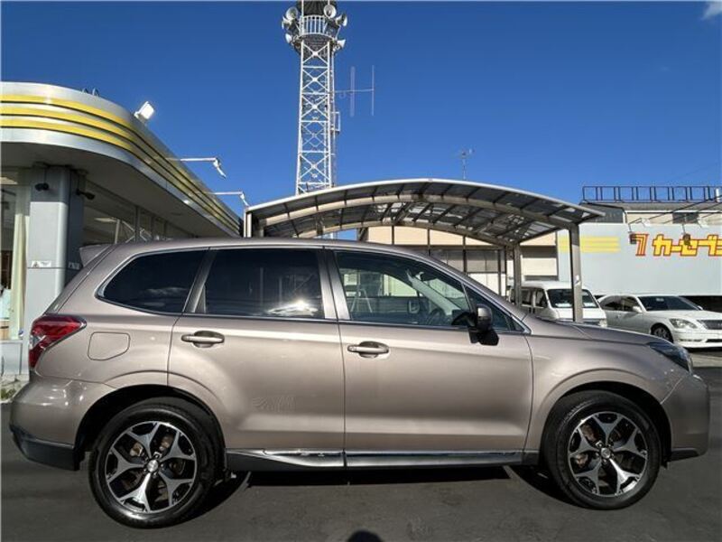 FORESTER