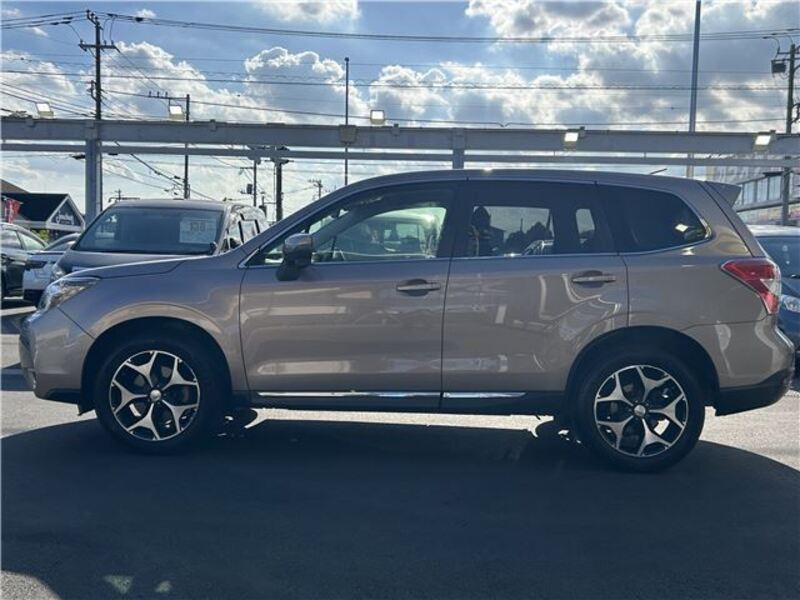 FORESTER