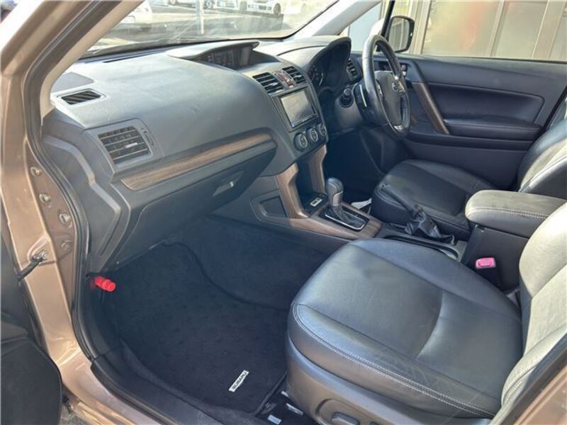 FORESTER