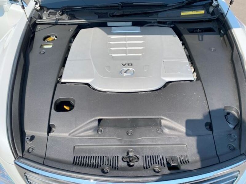 LS