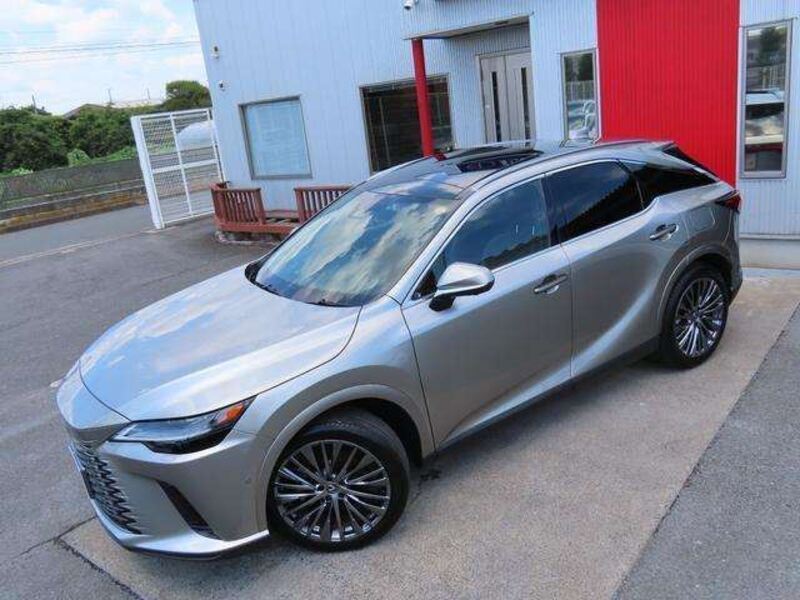 RX