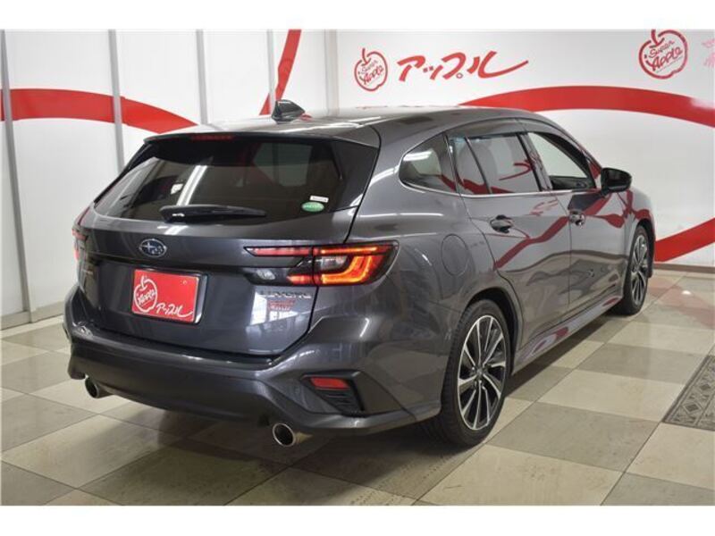 LEVORG