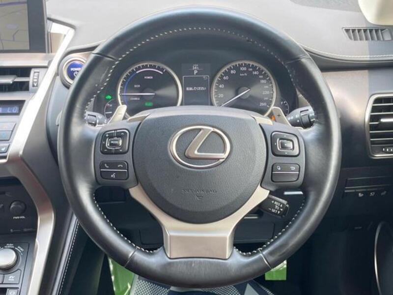 NX