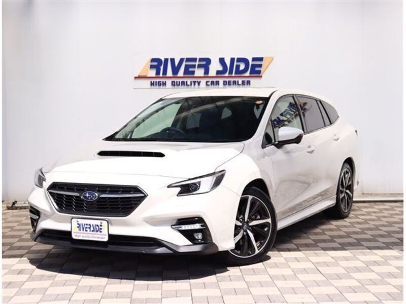 LEVORG-0
