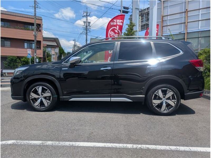 FORESTER